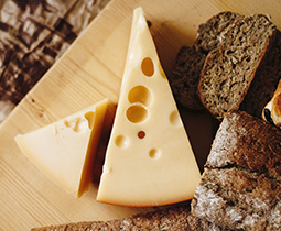 swis cheese image