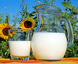 milk in glass next to sunflower
